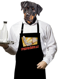 zástěra