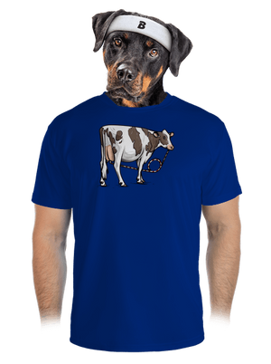 pánské sportovní tričko