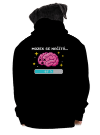 pánská mikina na zip