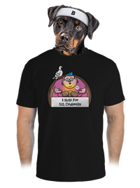 pánské sportovní tričko