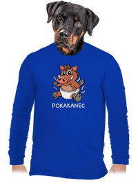 pánské dlouhý rukáv