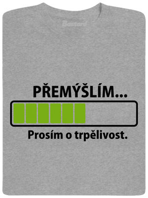 Přemýšlím pánské tričko Sport Grey