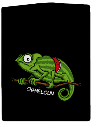 Chameloun pánská mikina na zip Black