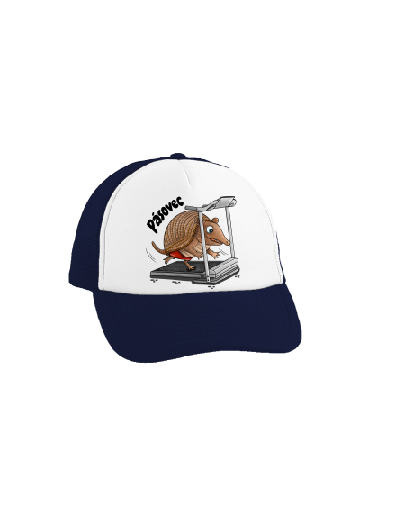 Pásovec kšiltovka truckerka French Navy cap