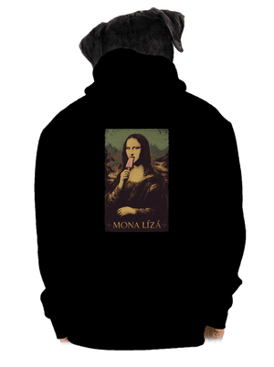 pánská mikina na zip