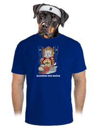 pánské sportovní tričko
