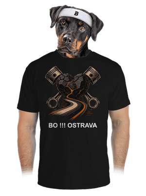 pánské sportovní tričko