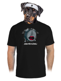 pánské sportovní tričko