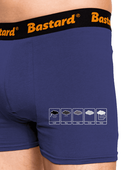 Předpověď počasí boxerky Blue Navy