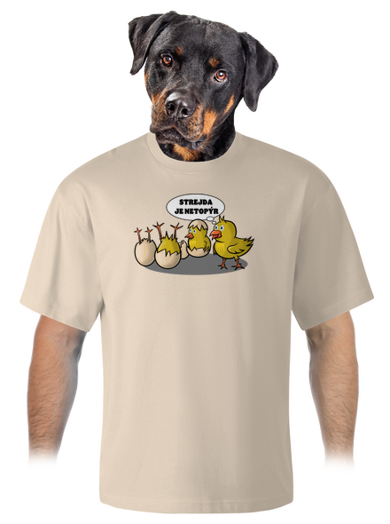 Strejda netopýr unisex tričko oversized Almond