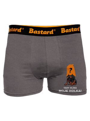 Tady hlídám já boxerky Gray Melange