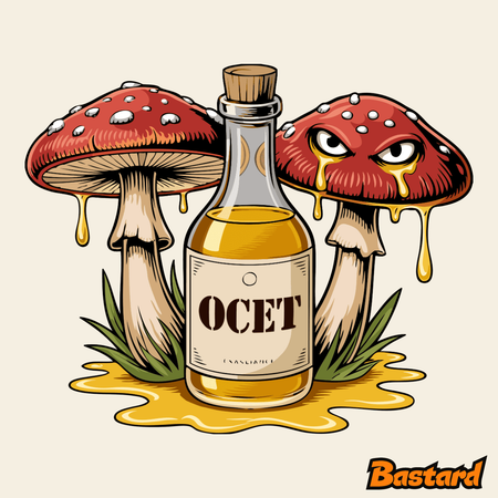 Houby s octem