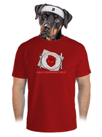 pánské sportovní tričko