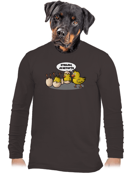 Strejda netopýr pánské dlouhý rukáv Bear Brown