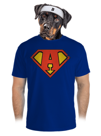 pánské sportovní tričko