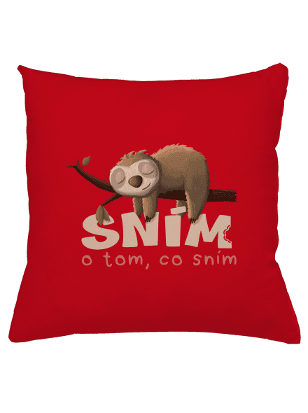 Sním o tom, co sním polštář Red