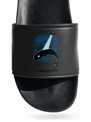 Big fish pantofle Black