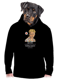 pánská mikina klokanka