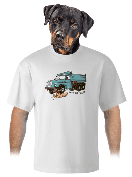 Tatrická masáž unisex tričko oversized White