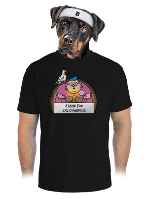 pánské sportovní tričko