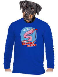 pánské dlouhý rukáv