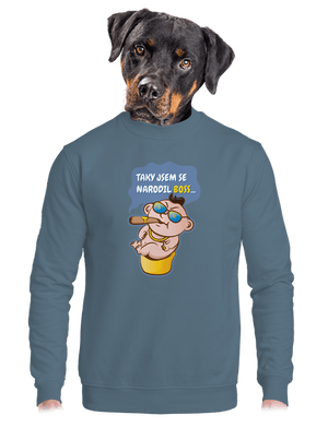 Boss unisex mikina bez kapuce Nordic Blue