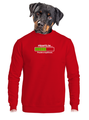 Přemýšlím unisex mikina bez kapuce Red