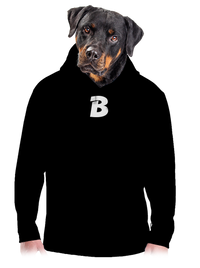 pánská mikina klokanka