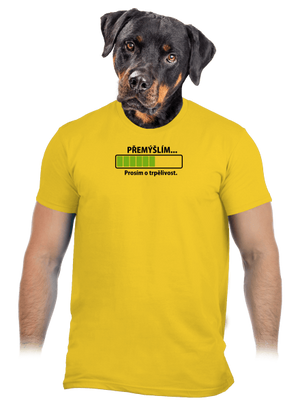Přemýšlím pánské tričko Gold