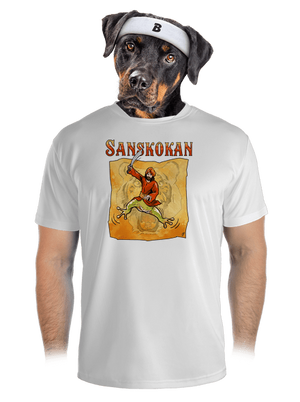 pánské sportovní tričko