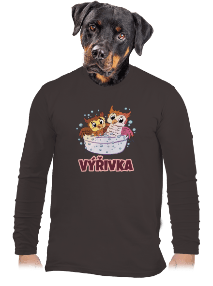Výřivka pánské dlouhý rukáv Bear Brown