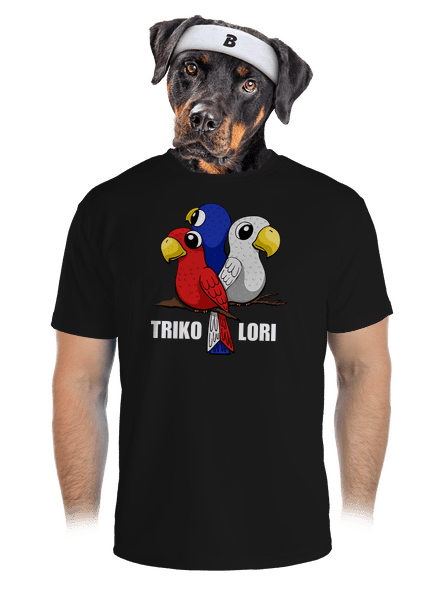 Trikolori pánské sportovní tričko Black