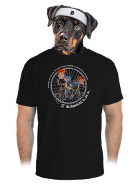 pánské sportovní tričko