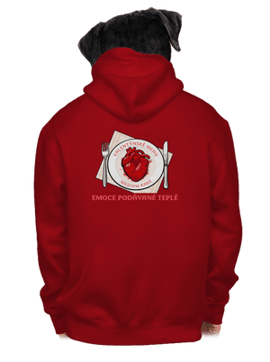 pánská mikina na zip