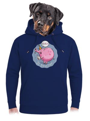unisex mikina premium