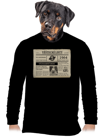 Věštecké listy pánské dlouhý rukáv Black