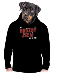 pánská mikina klokanka