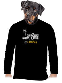 pánské dlouhý rukáv