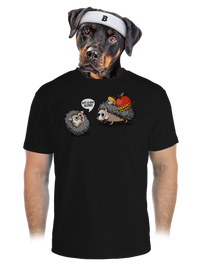 pánské sportovní tričko