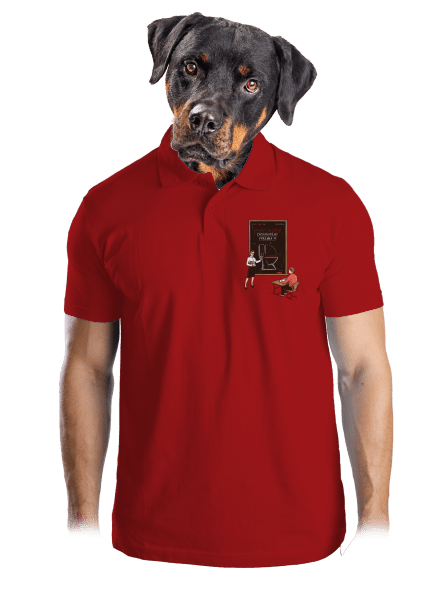 Lekce pro pány pánská polokošile Red Mal