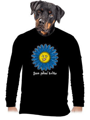 pánské dlouhý rukáv