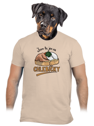 Na chlebíčky pánské tričko Sand