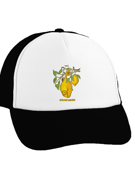 Citrón kšiltovka truckerka Black cap