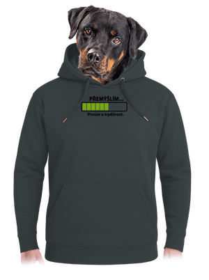 Přemýšlím unisex mikina premium Charcoal