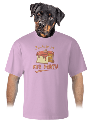 Pro kus dortu unisex tričko oversized Orchid