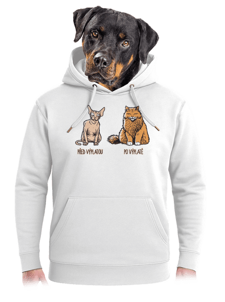 Kočka před výplatou unisex mikina premium Snowwhite