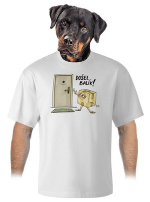 unisex tričko oversized
