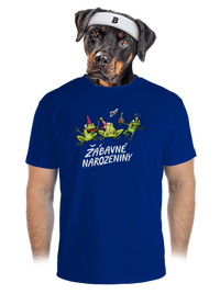 pánské sportovní tričko