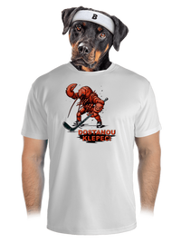 pánské sportovní tričko