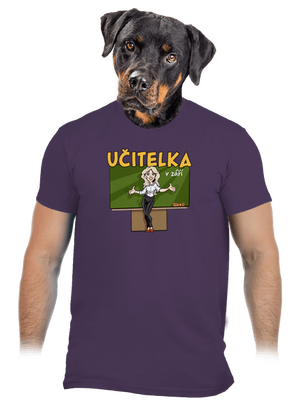 pánské tričko